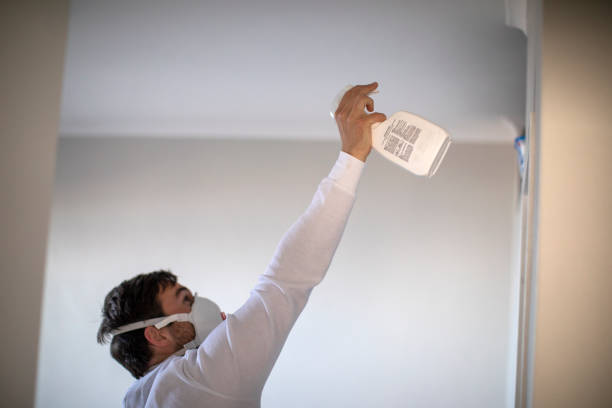 Best Best Mold Removal Companies  in East Hemet, CA