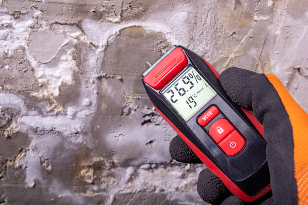 Best Office Mold Removal Services  in East Hemet, CA
